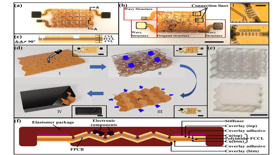 Flexible Electronics | Robotics Institute - The Hong Kong University Of ...